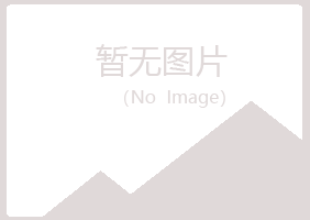 绩溪县山柳工程有限公司